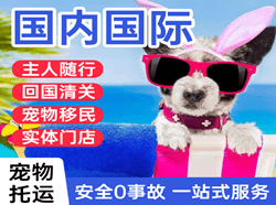 咸阳航空运输国际宠物托运 【国